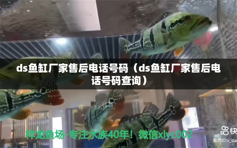 ds魚缸廠家售后電話號碼（ds魚缸廠家售后電話號碼查詢）