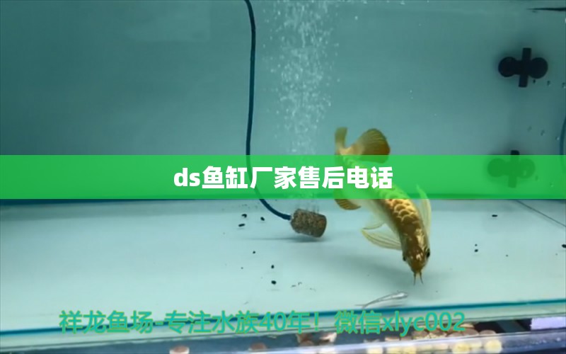 ds魚缸廠家售后電話