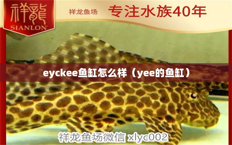 eyckee魚缸怎么樣（yee的魚缸）