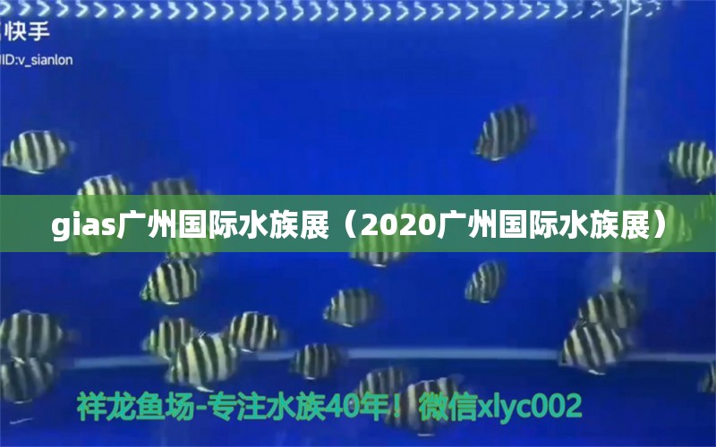 gias廣州國際水族展（2020廣州國際水族展）