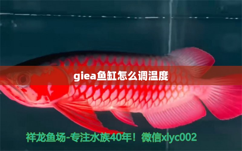 giea魚缸怎么調(diào)溫度