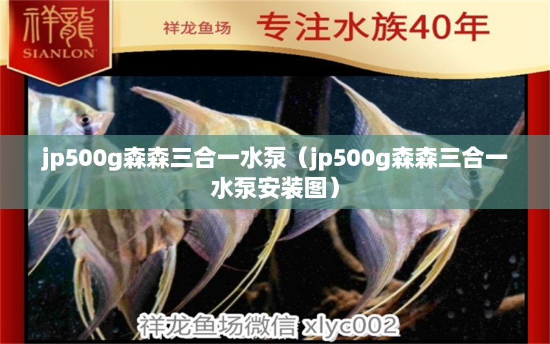 jp500g森森三合一水泵（jp500g森森三合一水泵安裝圖）