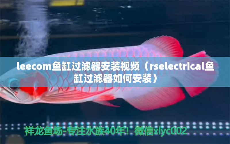 leecom魚(yú)缸過(guò)濾器安裝視頻（rselectrical魚(yú)缸過(guò)濾器如何安裝）