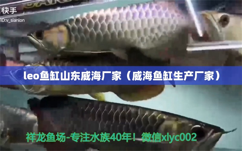 leo魚缸山東威海廠家（威海魚缸生產(chǎn)廠家）