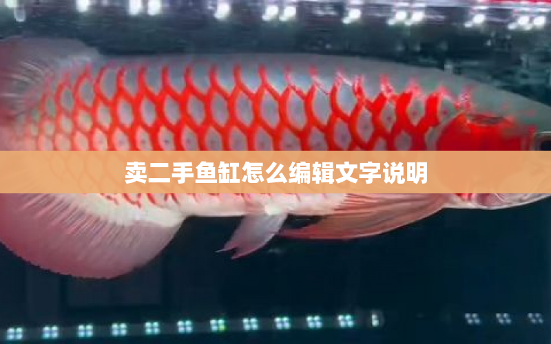 賣二手魚缸怎么編輯文字說明 水族問答 第1張