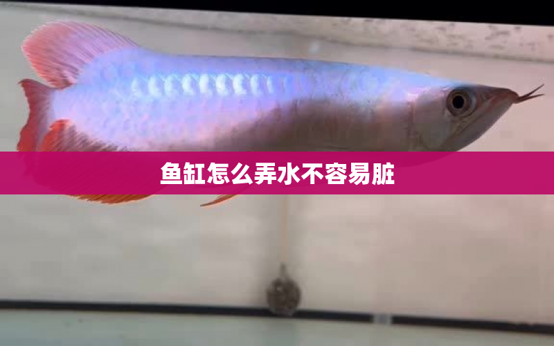 魚缸怎么弄水不容易臟 水族問答 第1張