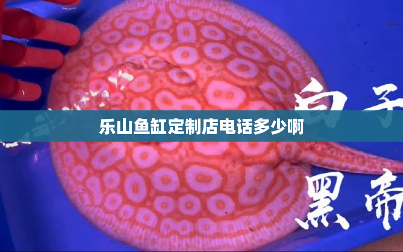 樂(lè)山魚(yú)缸定制店電話(huà)多少啊 水族問(wèn)答 第1張