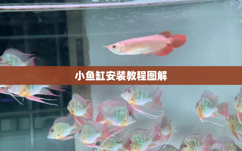 小魚缸安裝教程圖解 水族問答