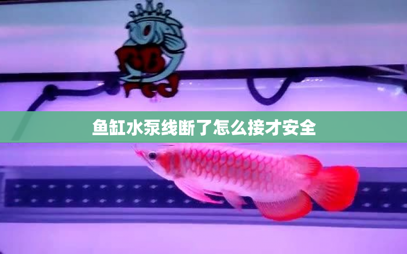 魚缸水泵線斷了怎么接才安全 水族問答 第1張