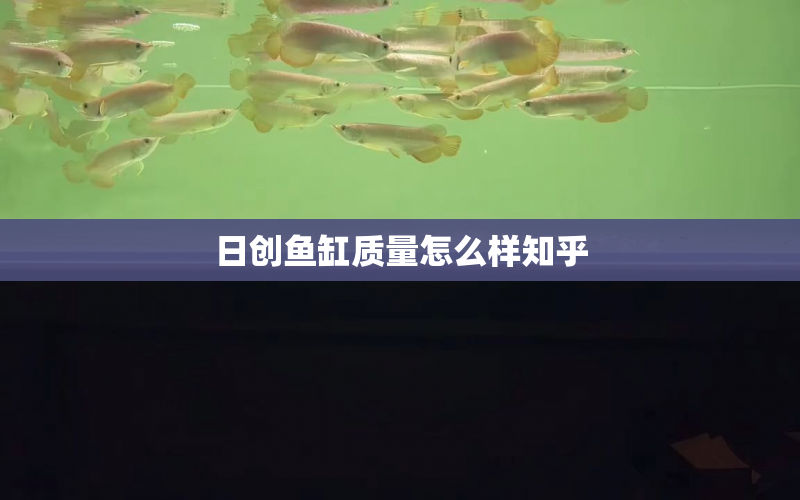 日創(chuàng)魚(yú)缸質(zhì)量怎么樣知乎 水族問(wèn)答 第1張