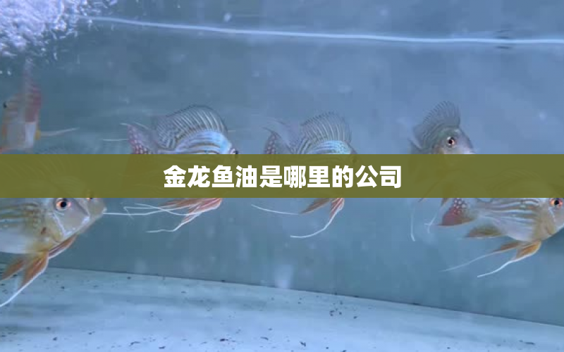 金龍魚油是哪里的公司 水族問答