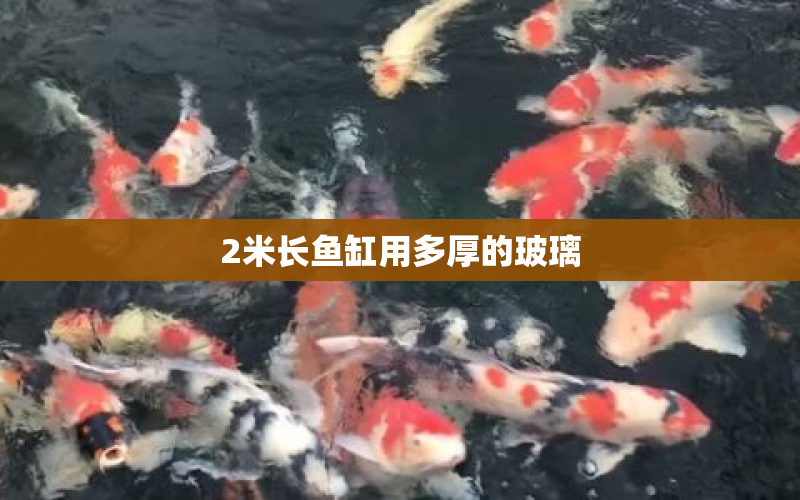 2米長魚缸用多厚的玻璃 水族問答 第1張