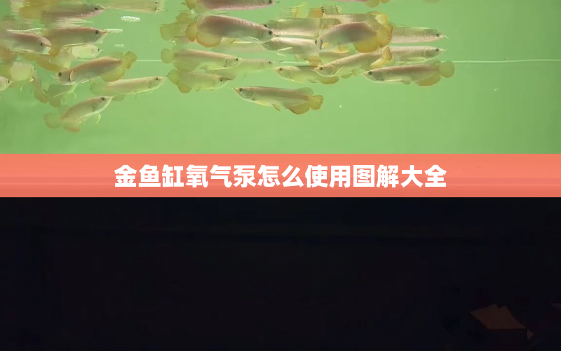 金魚缸氧氣泵怎么使用圖解大全 水族問答 第1張