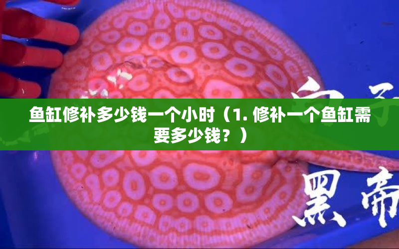 魚缸修補多少錢一個小時（1. 修補一個魚缸需要多少錢？） 水族問答 第1張