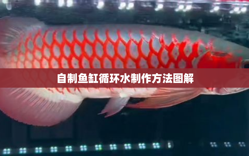 自制魚缸循環(huán)水制作方法圖解 水族問答 第1張