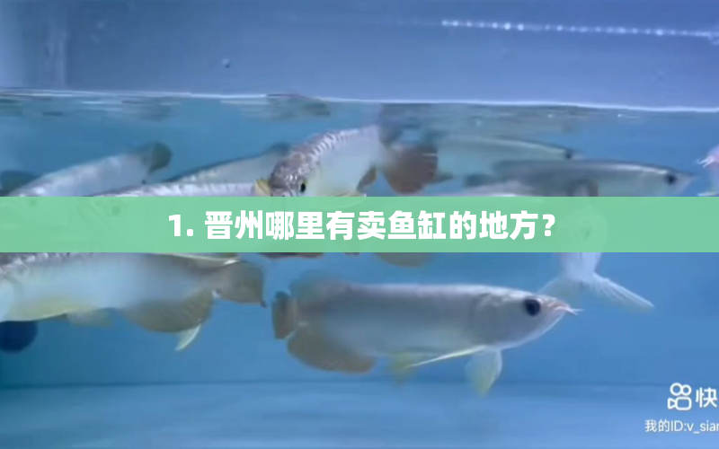 1. 晉州哪里有賣魚缸的地方？ 水族問(wèn)答 第1張