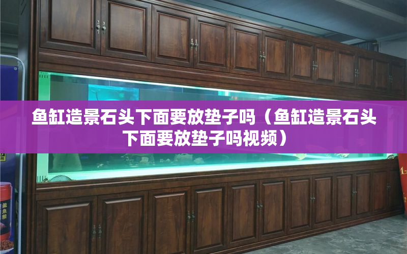 魚缸造景石頭下面要放墊子嗎（魚缸造景石頭下面要放墊子嗎視頻） 水族問答