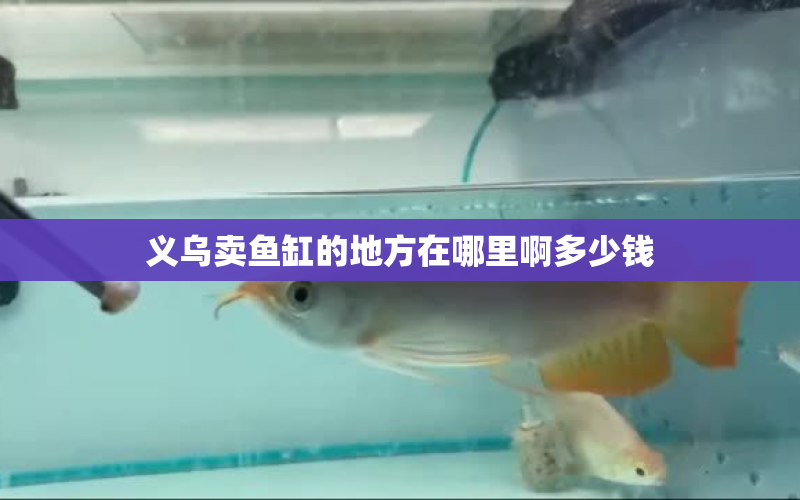 義烏賣魚缸的地方在哪里啊多少錢 水族問答 第2張