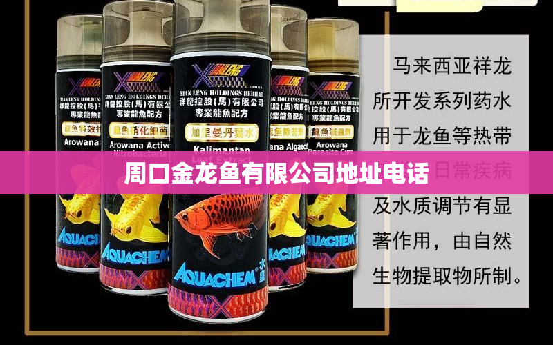 周口金龍魚有限公司地址電話 水族問答 第1張