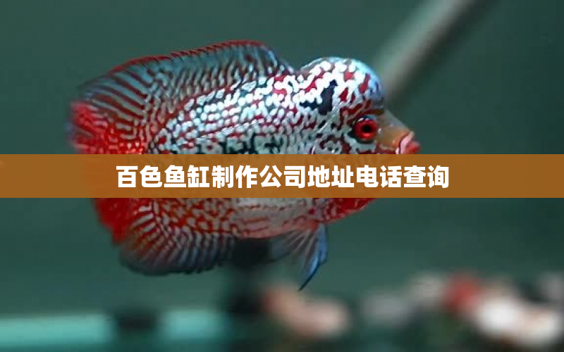 百色魚缸制作公司地址電話查詢 水族問答 第1張