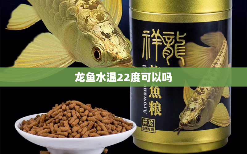 龍魚水溫22度可以嗎 水族問答 第1張