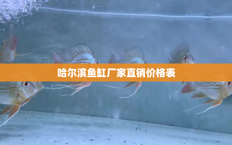 哈爾濱魚缸廠家直銷價格表 水族問答 第1張