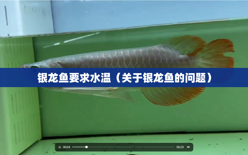 銀龍魚要求水溫（關于銀龍魚的問題） 水族問答 第1張