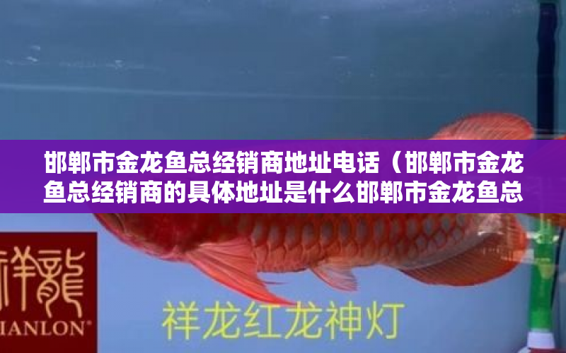 邯鄲市金龍魚總經(jīng)銷商地址電話（邯鄲市金龍魚總經(jīng)銷商的具體地址是什么邯鄲市金龍魚總經(jīng)銷商的具體地址是什么） 水族問答 第1張