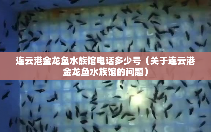 連云港金龍魚水族館電話多少號（關(guān)于連云港金龍魚水族館的問題） 水族問答 第1張