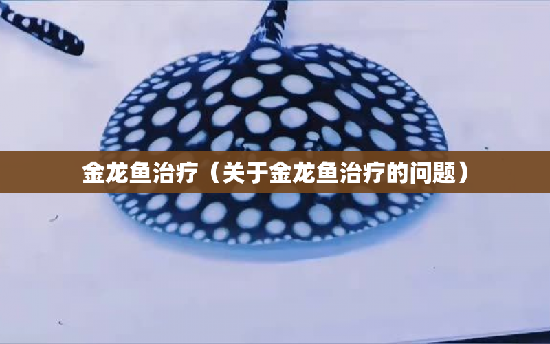 金龍魚治療（關(guān)于金龍魚治療的問題） 水族問答 第1張