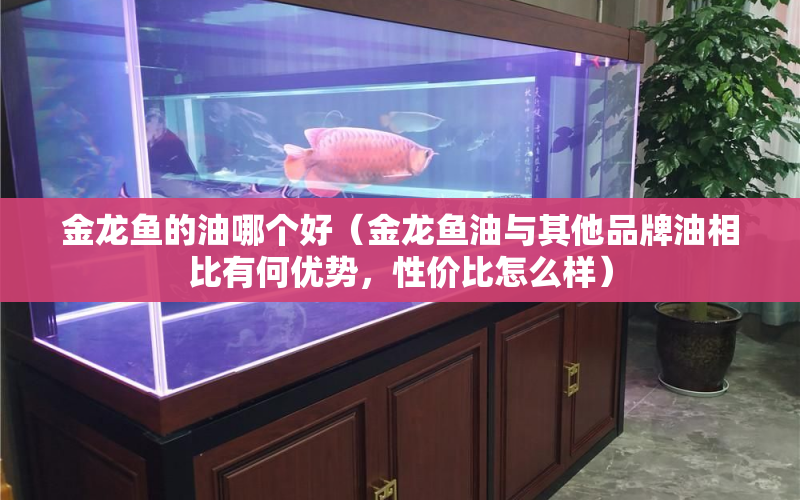 金龍魚的油哪個好（金龍魚油與其他品牌油相比有何優(yōu)勢，性價比怎么樣） 水族問答 第1張