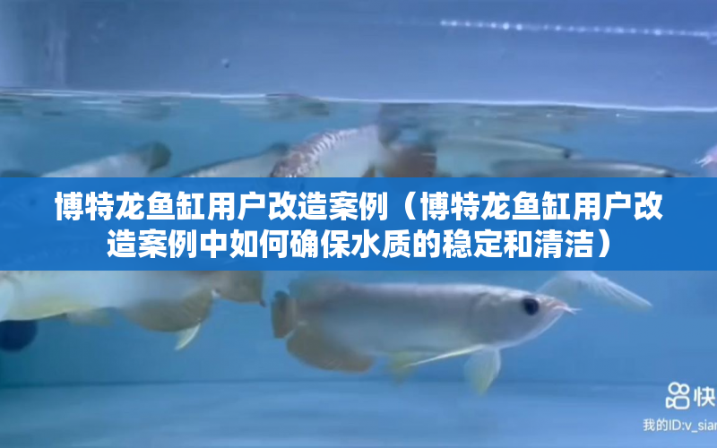 博特龍魚缸用戶改造案例（博特龍魚缸用戶改造案例中如何確保水質(zhì)的穩(wěn)定和清潔） 水族問答 第1張