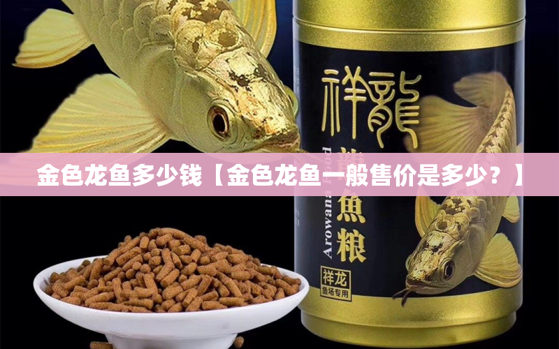 金色龍魚(yú)多少錢(qián)【金色龍魚(yú)一般售價(jià)是多少？】 水族問(wèn)答 第1張