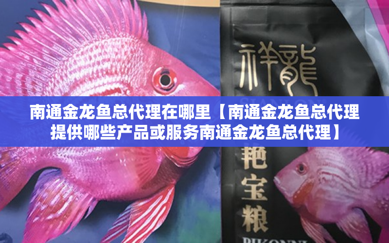 南通金龍魚總代理在哪里【南通金龍魚總代理提供哪些產(chǎn)品或服務(wù)南通金龍魚總代理】 水族問答 第1張