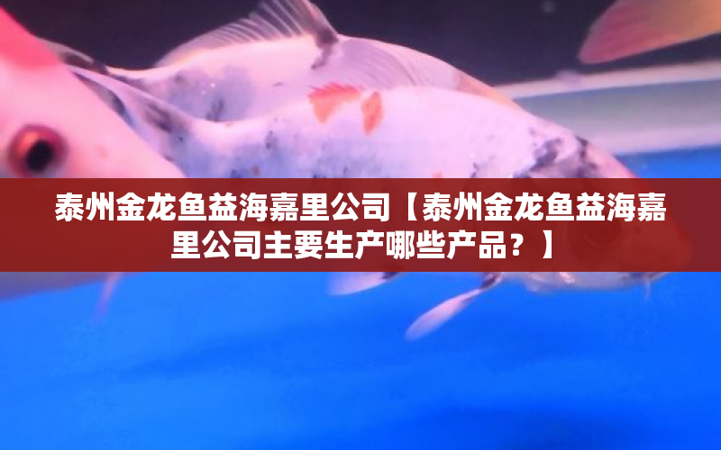 泰州金龍魚(yú)益海嘉里公司【泰州金龍魚(yú)益海嘉里公司主要生產(chǎn)哪些產(chǎn)品？】 水族問(wèn)答 第1張