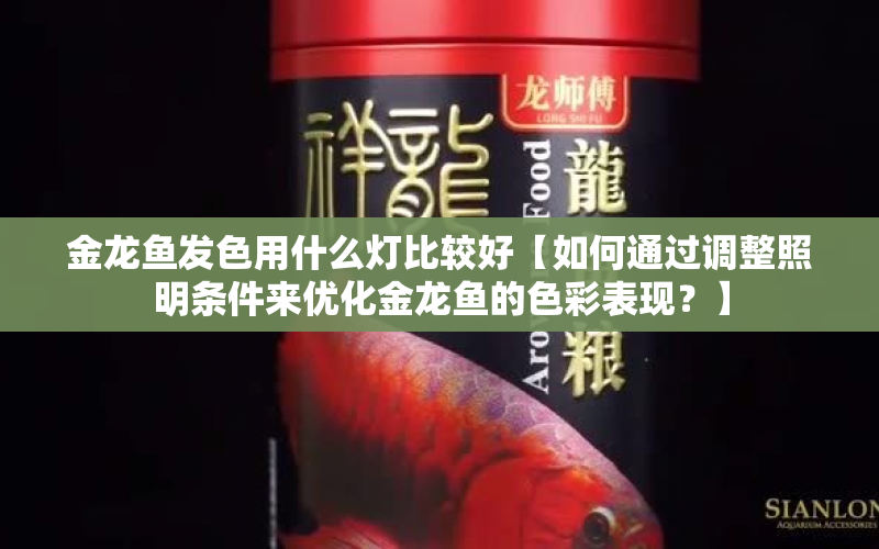 金龍魚發(fā)色用什么燈比較好【如何通過調(diào)整照明條件來優(yōu)化金龍魚的色彩表現(xiàn)？】 水族問答 第1張