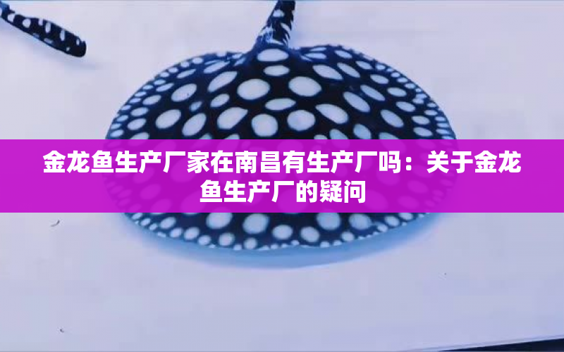 金龍魚生產(chǎn)廠家在南昌有生產(chǎn)廠嗎：關(guān)于金龍魚生產(chǎn)廠的疑問 水族問答 第2張