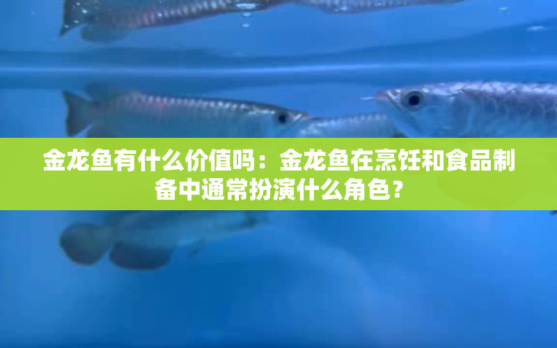 金龍魚有什么價(jià)值嗎：金龍魚在烹飪和食品制備中通常扮演什么角色？ 水族問(wèn)答 第1張