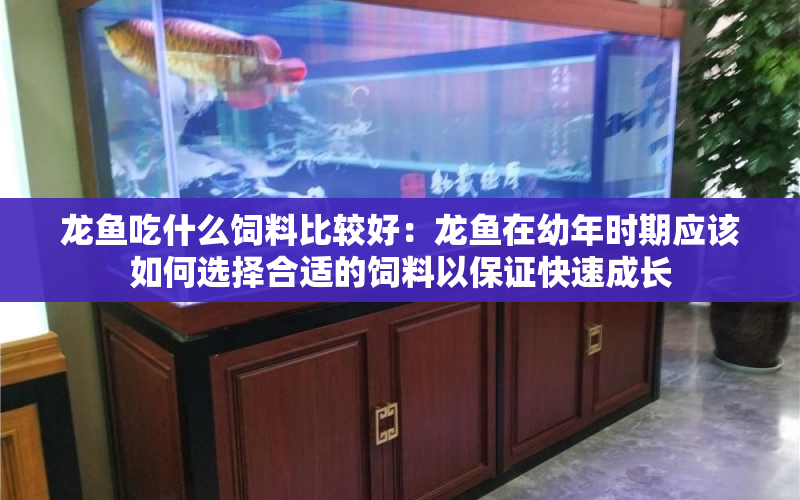 龍魚吃什么飼料比較好：龍魚在幼年時期應該如何選擇合適的飼料以保證快速成長 水族問答 第1張