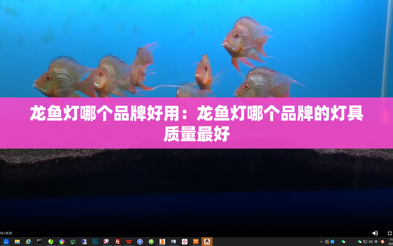 龍魚燈哪個品牌好用：龍魚燈哪個品牌的燈具質(zhì)量最好 水族問答 第1張