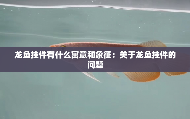 龍魚掛件有什么寓意和象征：關(guān)于龍魚掛件的問(wèn)題 水族問(wèn)答 第2張