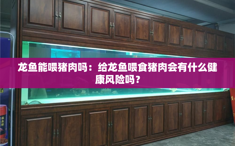 龍魚(yú)能喂豬肉嗎：給龍魚(yú)喂食豬肉會(huì)有什么健康風(fēng)險(xiǎn)嗎？ 水族問(wèn)答 第1張