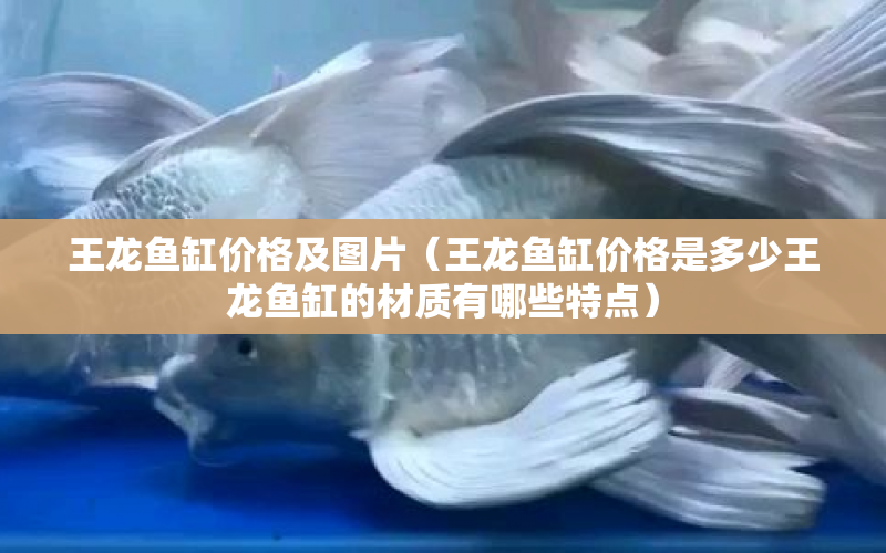 王龍魚缸價格及圖片（王龍魚缸價格是多少王龍魚缸的材質有哪些特點） 水族問答 第1張