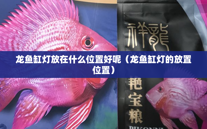 龍魚缸燈放在什么位置好呢（龍魚缸燈的放置位置） 水族問答 第1張