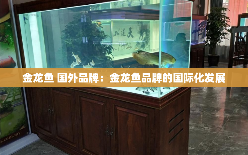 金龍魚 國外品牌：金龍魚品牌的國際化發(fā)展 水族問答 第1張