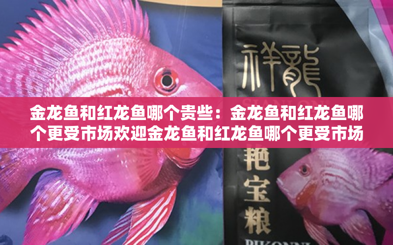 金龍魚和紅龍魚哪個貴些：金龍魚和紅龍魚哪個更受市場歡迎金龍魚和紅龍魚哪個更受市場歡迎 水族問答 第1張