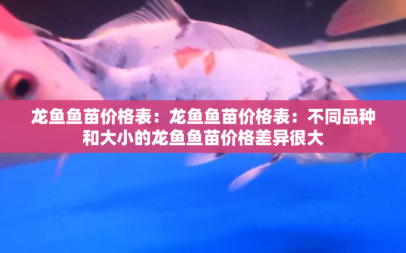 龍魚魚苗價格表：龍魚魚苗價格表：不同品種和大小的龍魚魚苗價格差異很大 水族問答 第1張