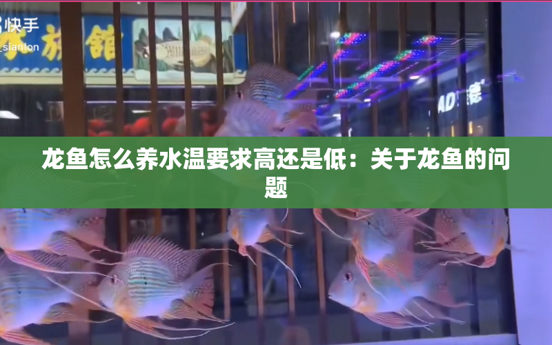 龍魚怎么養(yǎng)水溫要求高還是低：關(guān)于龍魚的問題 水族問答 第2張