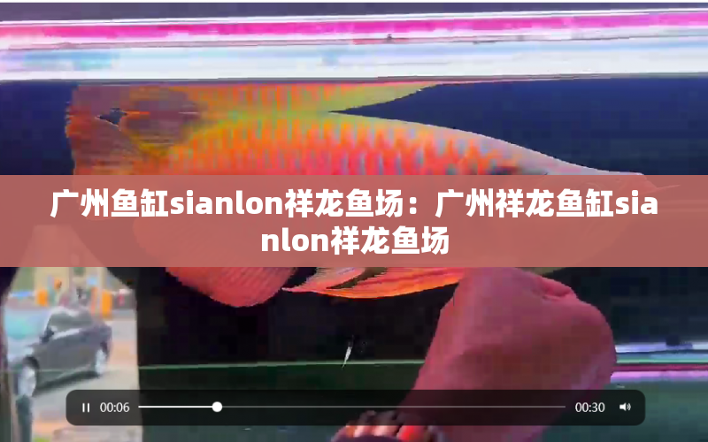 廣州魚缸sianlon祥龍魚場(chǎng)：廣州祥龍魚缸sianlon祥龍魚場(chǎng)