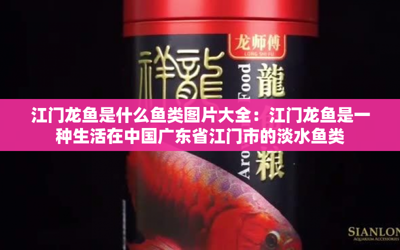 江門龍魚是什么魚類圖片大全：江門龍魚是一種生活在中國(guó)廣東省江門市的淡水魚類 水族問答